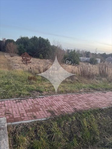 działka na sprzedaż 9700m2 działka Zbójno