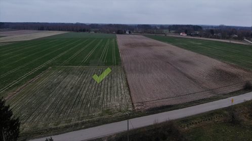 Działka rolna na sprzedaż Strzeszewo 3 000m2 Foto 6