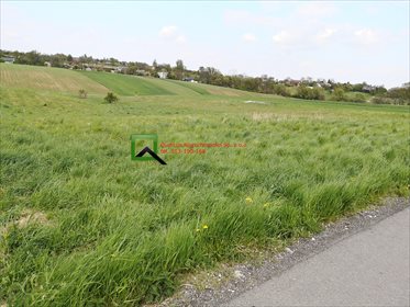 działka na sprzedaż 1370m2 działka Krasieniec Stary