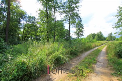 działka na sprzedaż 3000m2 działka Secymin Polski