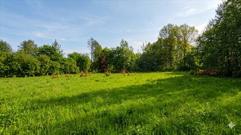 Działka 13 627 m² z domem, rzeka, media, blisko Warszawy działka Bolesławek