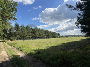 Działki budowlane 4040 m² w spokojnej okolicy, 5 działek działka Siedliska