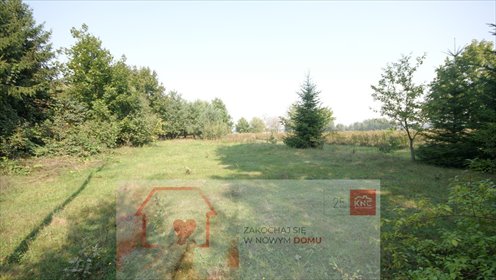 działka na sprzedaż 1607m2 działka Gołąb