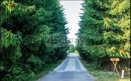 Działka inwestycyjna 5000 m² z własnym wodociągiem polecam działka Pieńki Zarębskie
