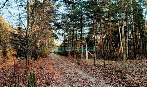 działka na sprzedaż 1800m2 działka Wolica