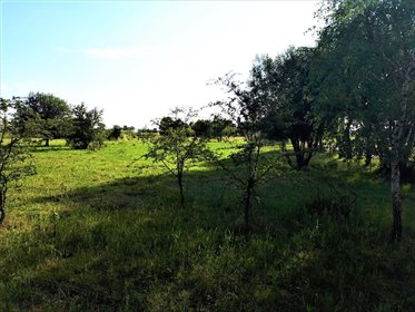 działka na sprzedaż 855m2 działka Prądocin