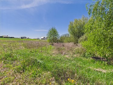 działka na sprzedaż 1500m2 działka Jarczechowo