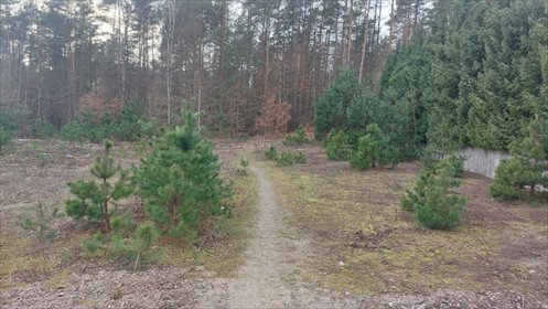 działka na sprzedaż 2163m2 działka Gowino, Zaciszne Zalesie, Zaciszne Zalesie, Jacka Kaczmarskiego
