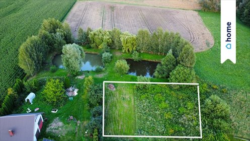 Działka 887 m² w Pędzewie (możliwość dokupienia stawu) działka Pędzewo