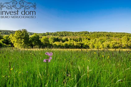 działka na sprzedaż 9992m2 działka Ropki