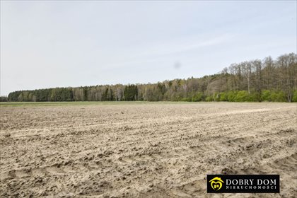 działka na sprzedaż 420000m2 działka Milejczyce