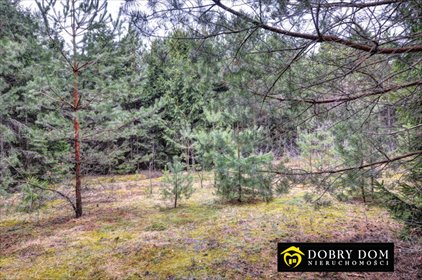 działka na sprzedaż 3140m2 działka Płaska