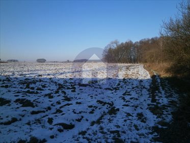 Działka komercyjna pod dzierżawę Godziszowa 5 400m2 Foto 2