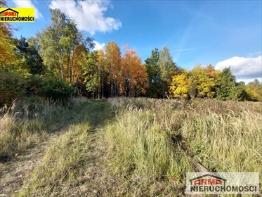 działka na sprzedaż 1000m2 działka Żarowo