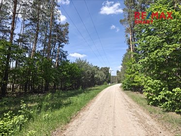 Urokliwa działka 5400 m² z lasem, MPZP, blisko natury działka Krzyżówka, Kolejowa