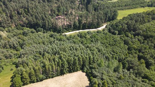Działka 15 200 m² z drzewami i źródełkiem - polecam! działka Śliwnica