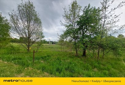 Działka budowlana na sprzedaż Myszków, Grzybowa 7 816m2 Foto 2