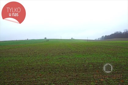 działka na sprzedaż 9700m2 działka Gronów