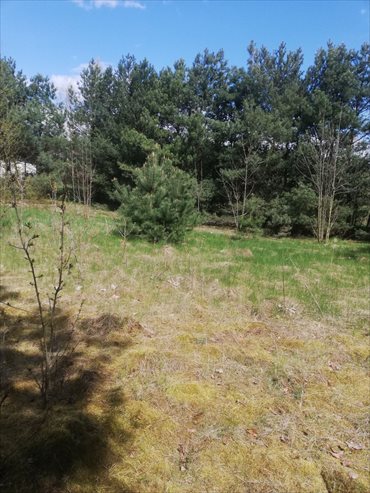 działka na sprzedaż 1211m2 działka Głuszynek