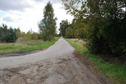 Działka rolna na sprzedaż Bibiampol 1 500m2 Foto 3