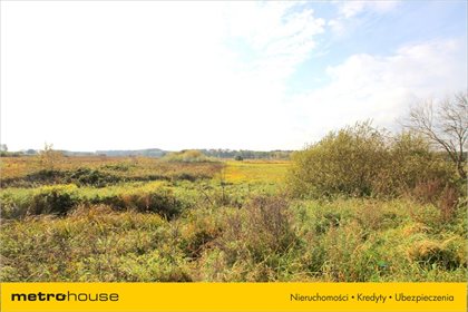 Działka siedliskowa na sprzedaż Zalesie, Zelów 34 300m2 Foto 6