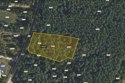 działka na sprzedaż 1049m2 działka Budy Mszczonowskie, Budy Mszczonowskie/Radziejowice/przyroda/MPZP