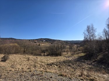 działka na sprzedaż 12873m2 działka Lądek-Zdrój, Storczyków