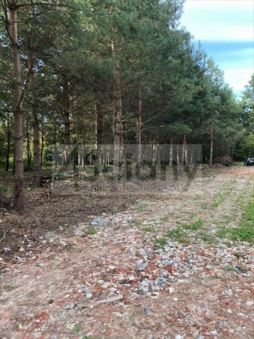 Polecam działkę 3400 m² pod zabudowę w Mieszkowie działka Mieszkowo