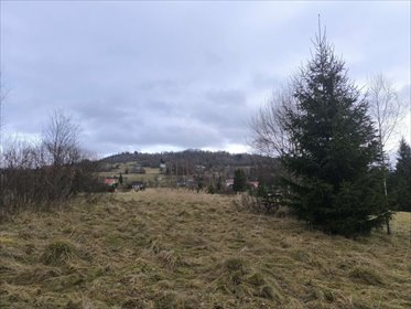 Duża działka rolna 4900 m² z dostępem do mediów i świetną lokalizacją działka Laliki