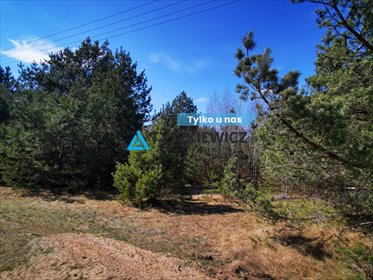 działka na sprzedaż 1001m2 działka Nowa Kiszewa