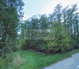 Polecam działkę 4000 m² pod dom jednorodzinny z mediami i lasem działka Książenice