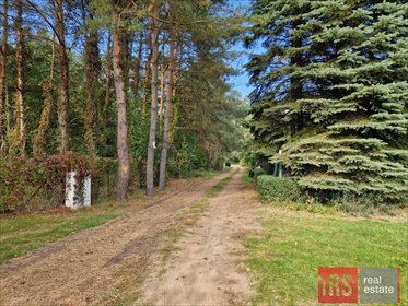 działka na sprzedaż 6400m2 działka Sikory, Brzozowa