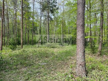 Działka budowlana 2761 m² w Podkowie Leśnej - polecam działka Podkowa Leśna
