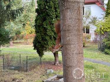 dom na sprzedaż 147m2 dom Konstancin-Jeziorna, Rycerska