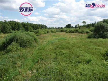 Działki nad jeziorem w Borach Tucholskich - inwestycja działka Ciechocin