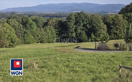 Dom z panoramicznym widokiem na Beskidy (100 m², Wiślica) dom Wiślica, Wiślica
