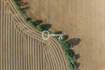 Działka budowlana 700 m² w Lamkach - idealna pod dom. działka Lamki, Leśna