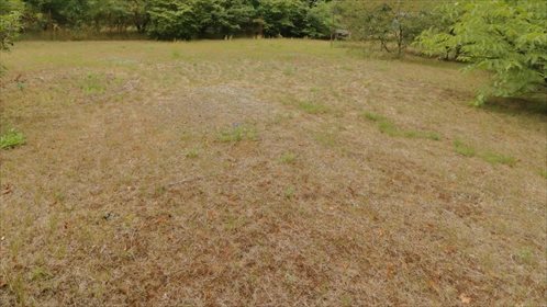 działka na sprzedaż 5500m2 działka Warszawa, Targówek