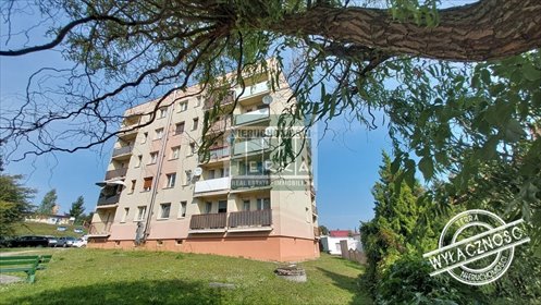 Przestronne 3 pokoje z balkonem, blisko natury. mieszkanie Czerwieńsk