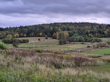 działka na sprzedaż 1910m2 działka Długie