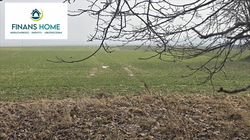 działka na sprzedaż 5500m2 działka Stary Grodków