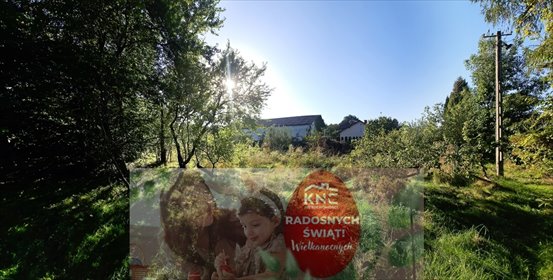 działka na sprzedaż 2577m2 działka Smugi