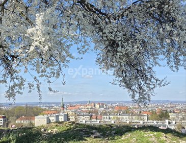 mieszkanie na wynajem 16m2 mieszkanie Kraków, Podgórze, Lanckorońska