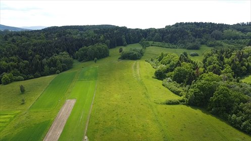 Sprzedam działkę rolną 10 300 m² z widokiem na las działka Moszczenica