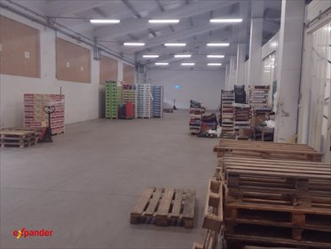 lokal użytkowy na wynajem 450m2 lokal użytkowy Głogów Małopolski, św. Maksymiliana Kolbego