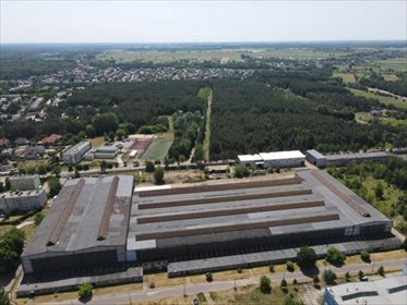 lokal użytkowy na wynajem 20538m2 lokal użytkowy Skierniewice