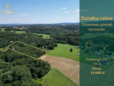 Działka rolno-leśna 58 ar w Zalasowej - polecam! działka Zalasowa