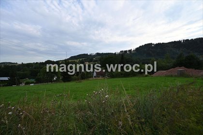 działka na sprzedaż 1083m2 działka Ludwikowice Kłodzkie, Słoneczna