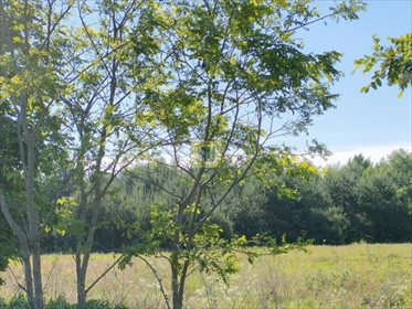 działka na sprzedaż 10817m2 działka Nowe Racibory