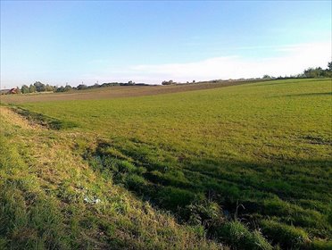 Działka pod zabudowę 9455 m² w Pyszącej - polecam! działka Pysząca, Pysząca k/Śremu